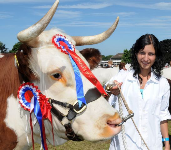 PRETTY GIRL WITH FEMALE CHAMPION HEREFORD LANDSCAPE topaz face upscale 4x